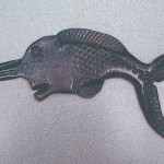 Horseshoe shark